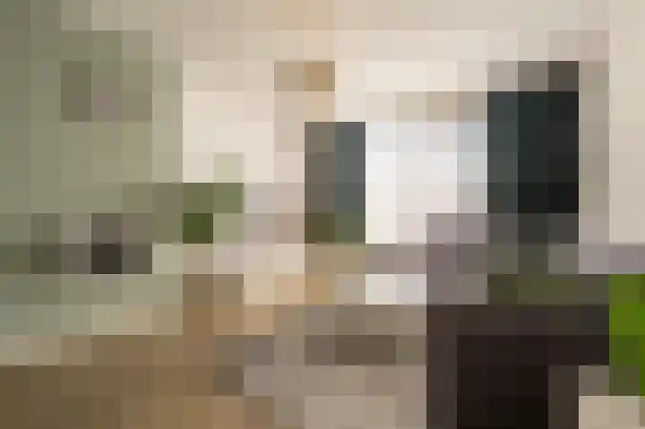 Wilbertoord 253 Rotterdam thumbnail 8