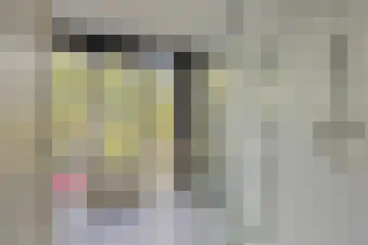 Wilbertoord 279 Rotterdam thumbnail 11