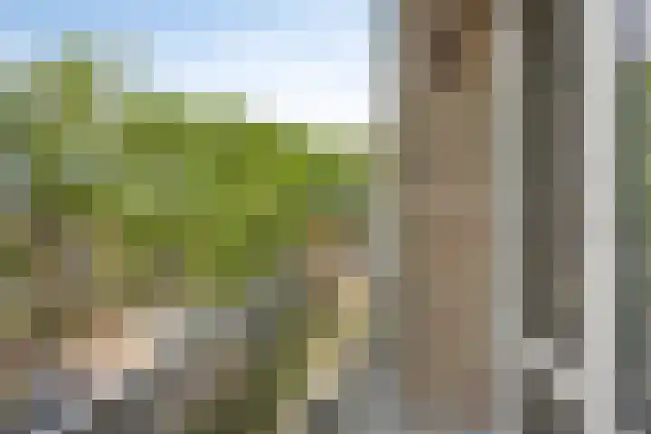 Wilbertoord 279 Rotterdam thumbnail 18