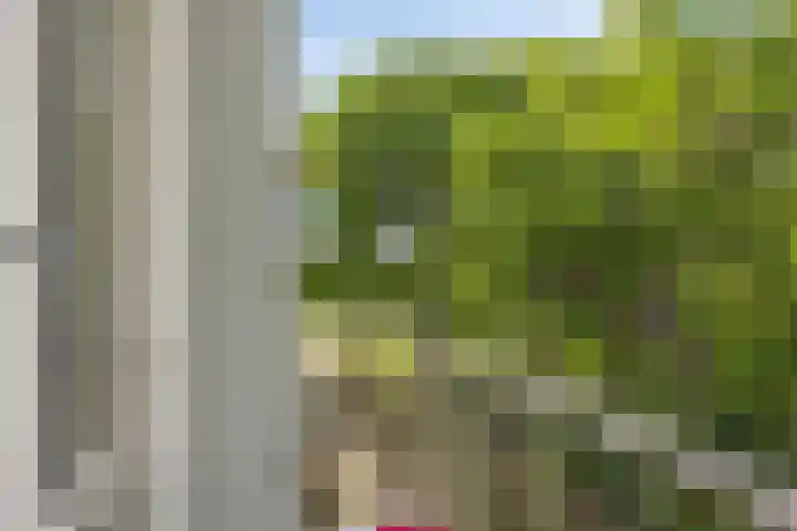 Wilbertoord 279 Rotterdam thumbnail 20