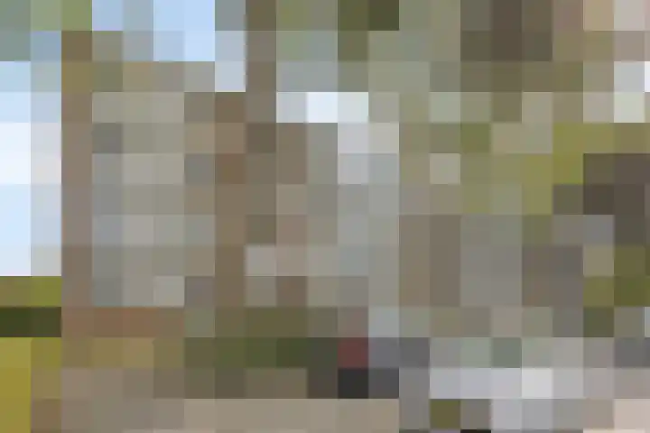 Wilbertoord 279 Rotterdam thumbnail 24