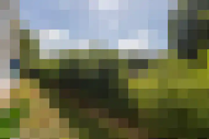 Wilbertoord 281 Rotterdam thumbnail 24