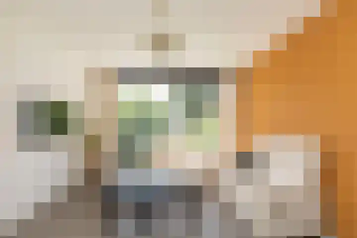Wilbertoord 281 Rotterdam thumbnail 6