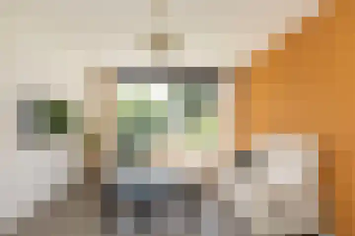 Wilbertoord 281 Rotterdam thumbnail 7