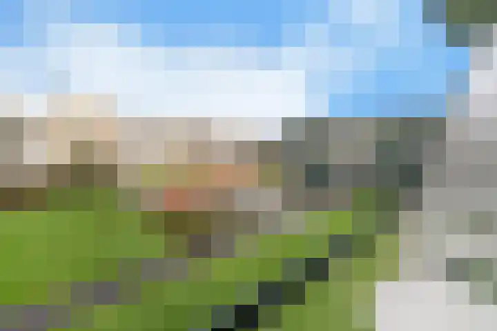 Wilbertoord 29 Rotterdam thumbnail 5
