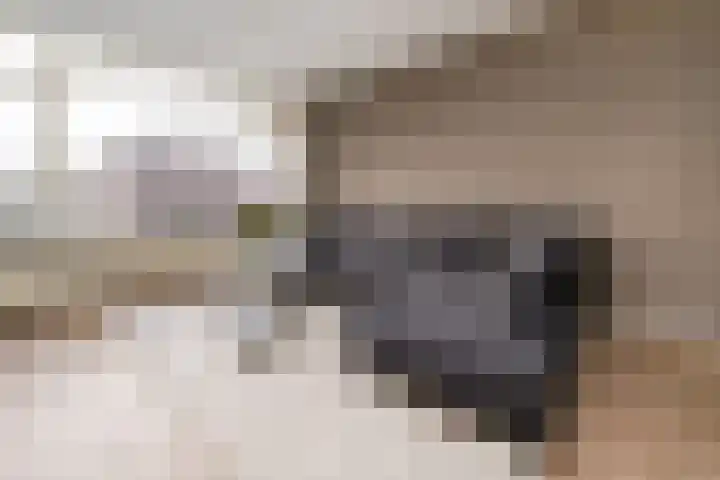 Wilbertoord 29 Rotterdam thumbnail 8