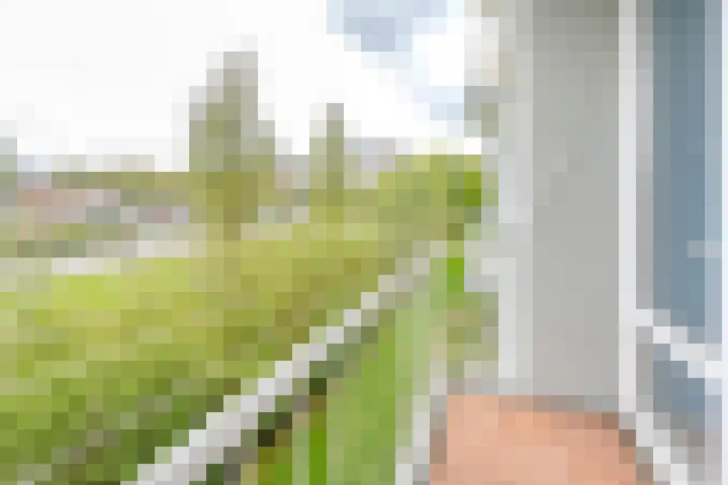 Wilbertoord 299 Rotterdam thumbnail 18