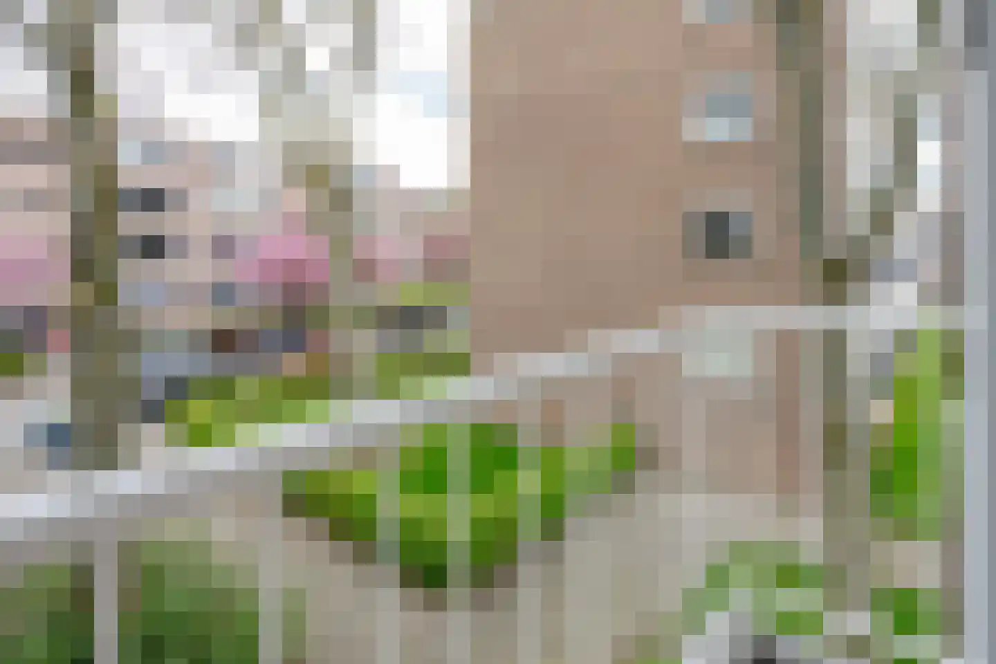 Wilbertoord 299 Rotterdam thumbnail 24
