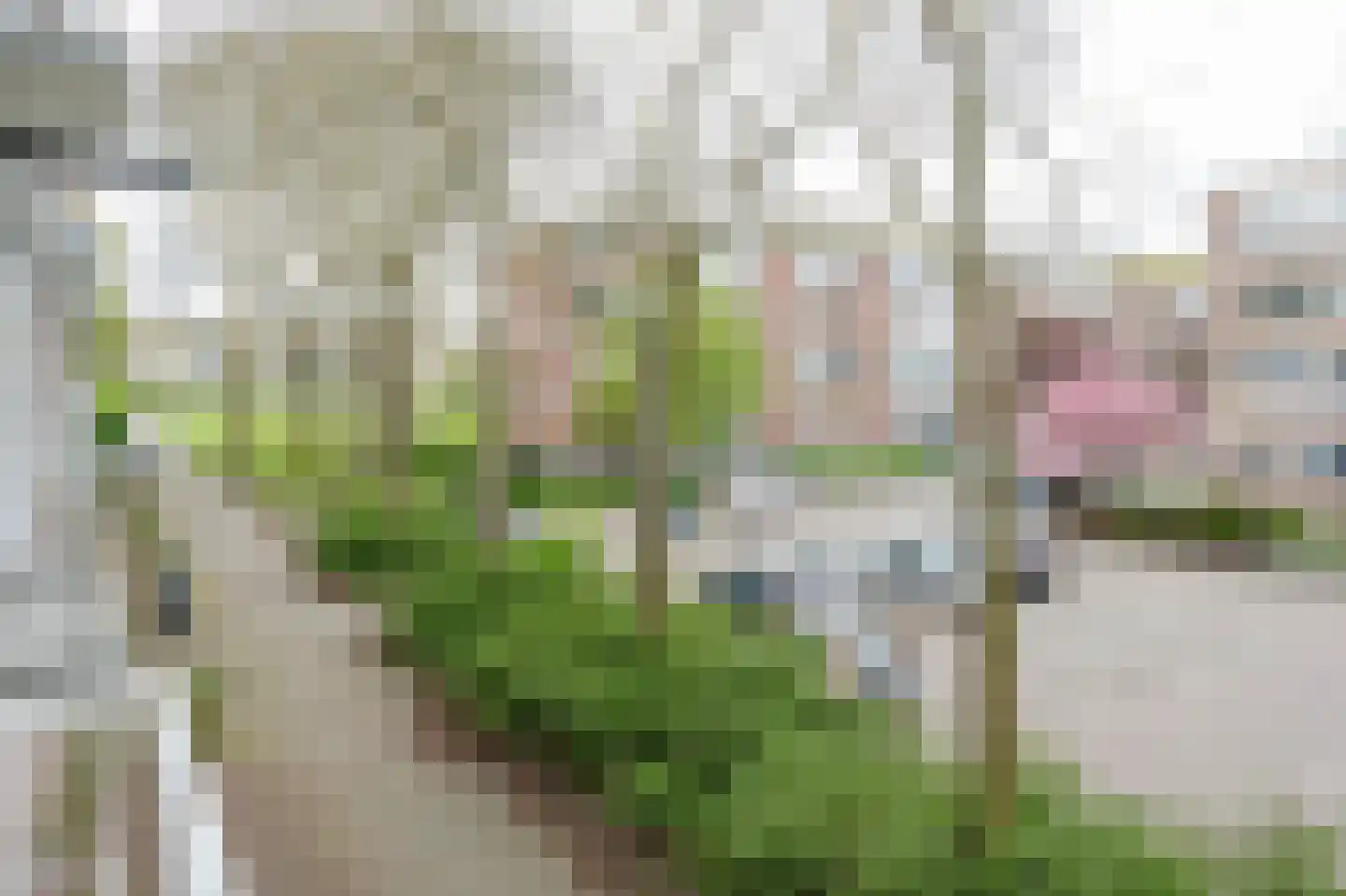 Wilbertoord 299 Rotterdam thumbnail 25