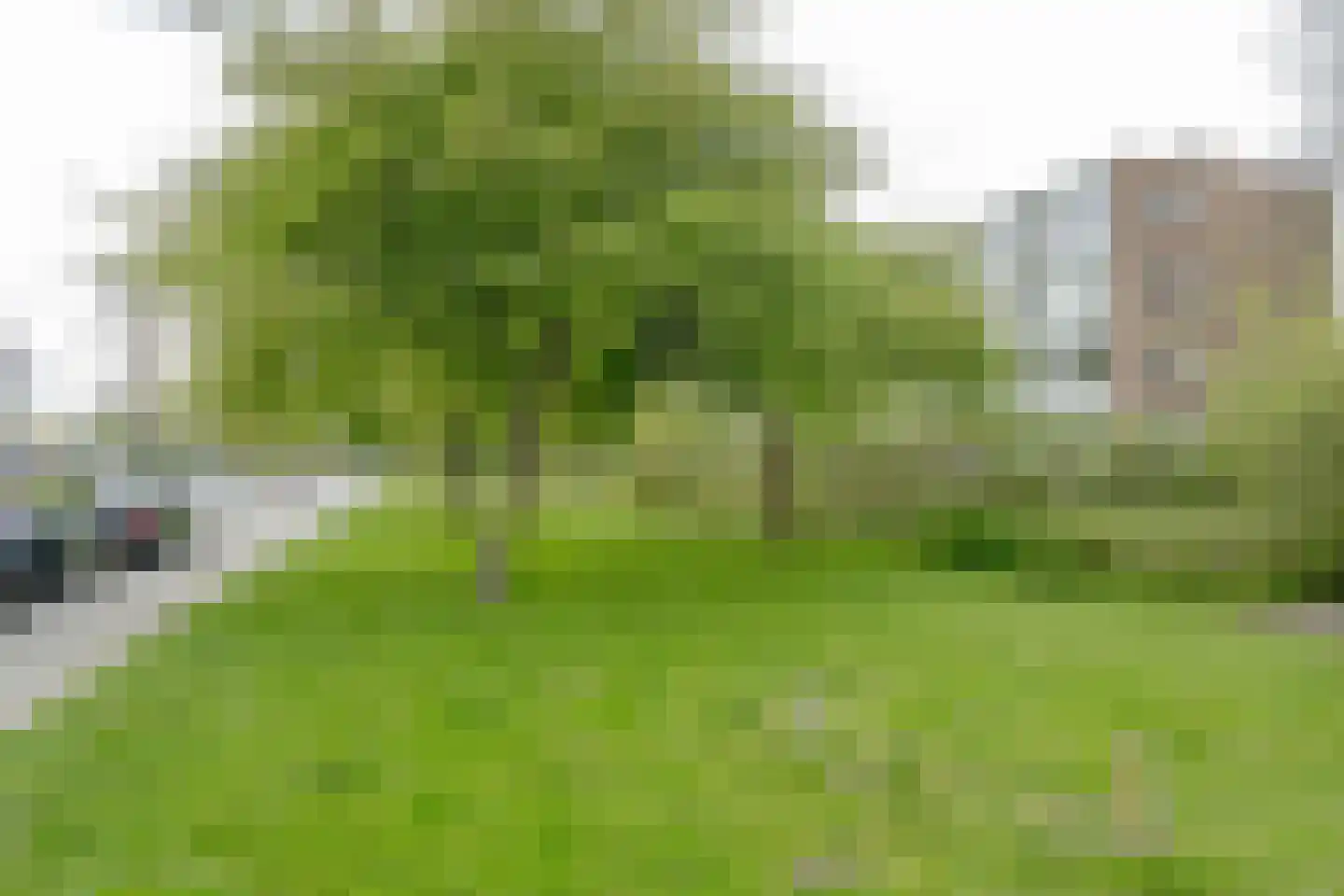 Wilbertoord 299 Rotterdam thumbnail 27