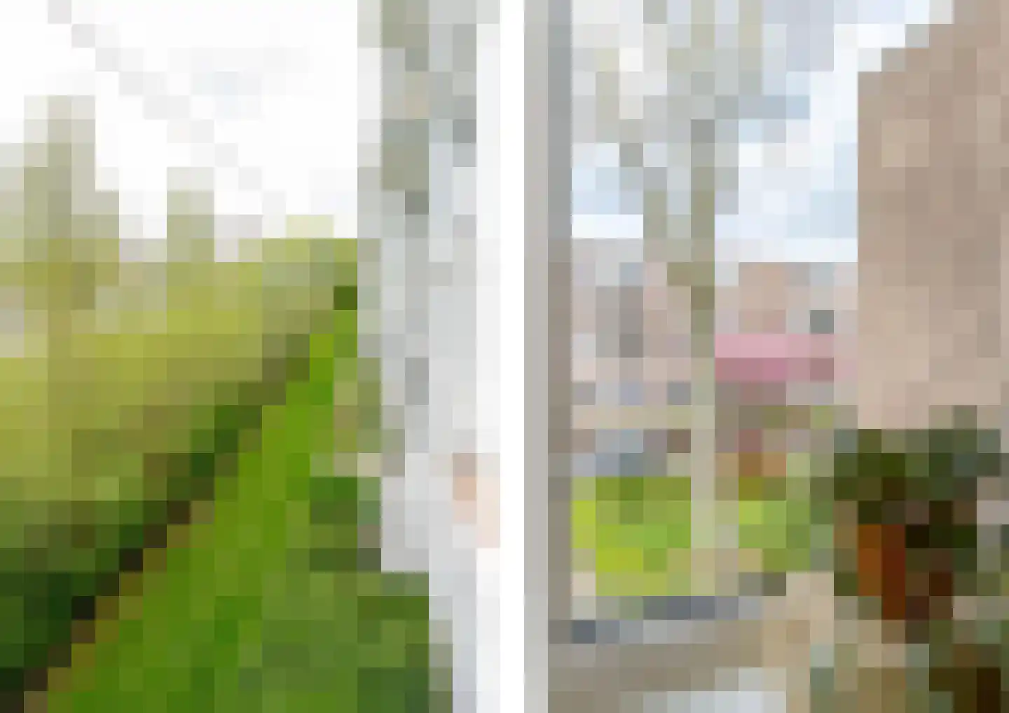 Wilbertoord 299 Rotterdam thumbnail 30