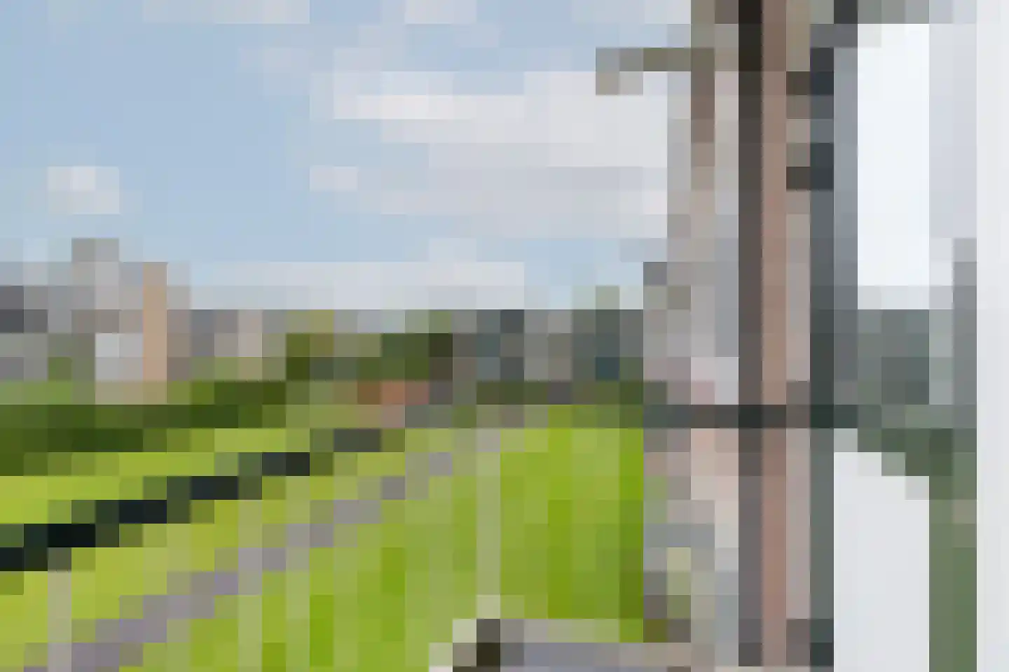 Wilbertoord 53 Rotterdam thumbnail 26