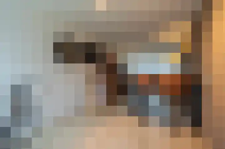Wilbertoord 57 Rotterdam thumbnail 13