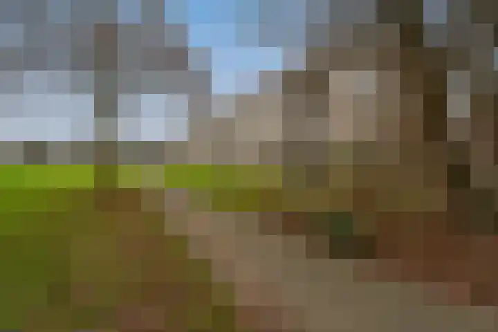 Wilbertoord 57 Rotterdam thumbnail 24
