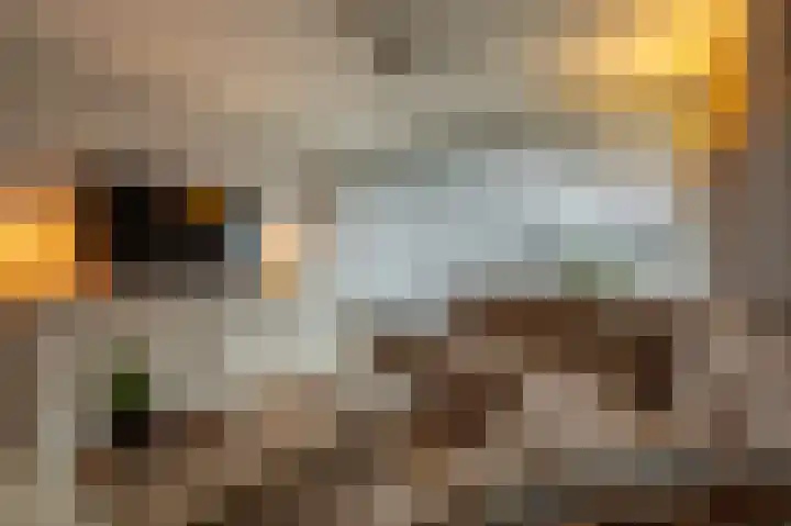 Wilbertoord 57 Rotterdam thumbnail 8