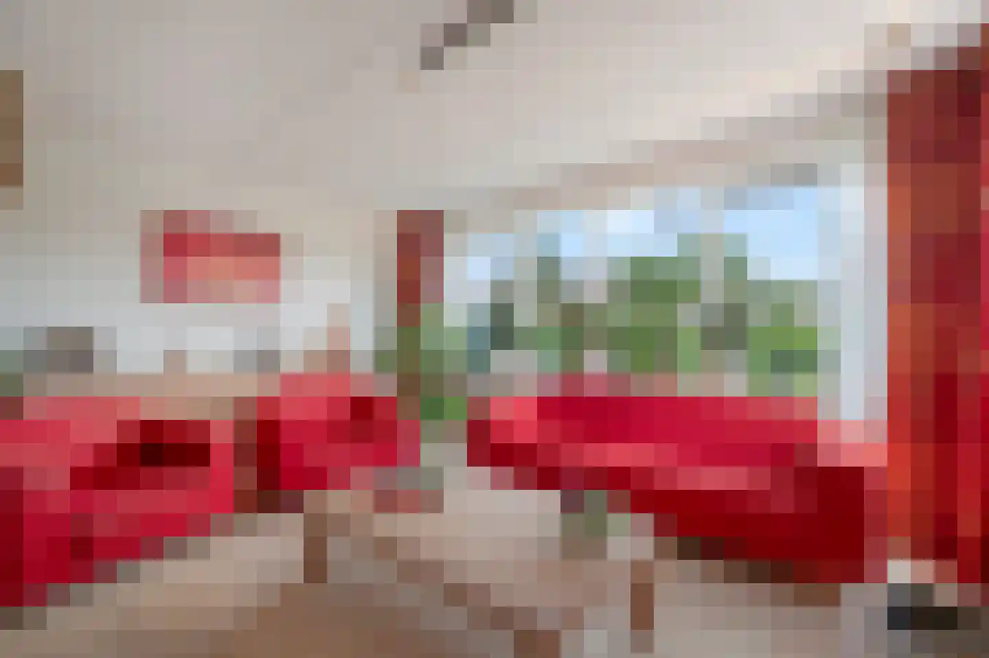 Wilbertsdel 12 Petten thumbnail 19