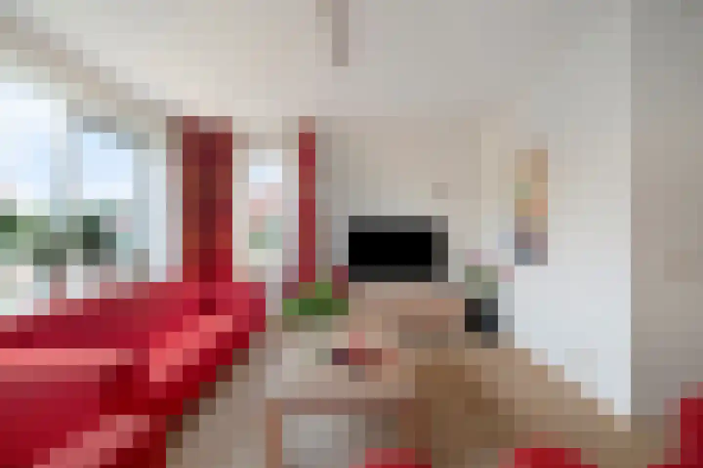 Wilbertsdel 12 Petten thumbnail 23