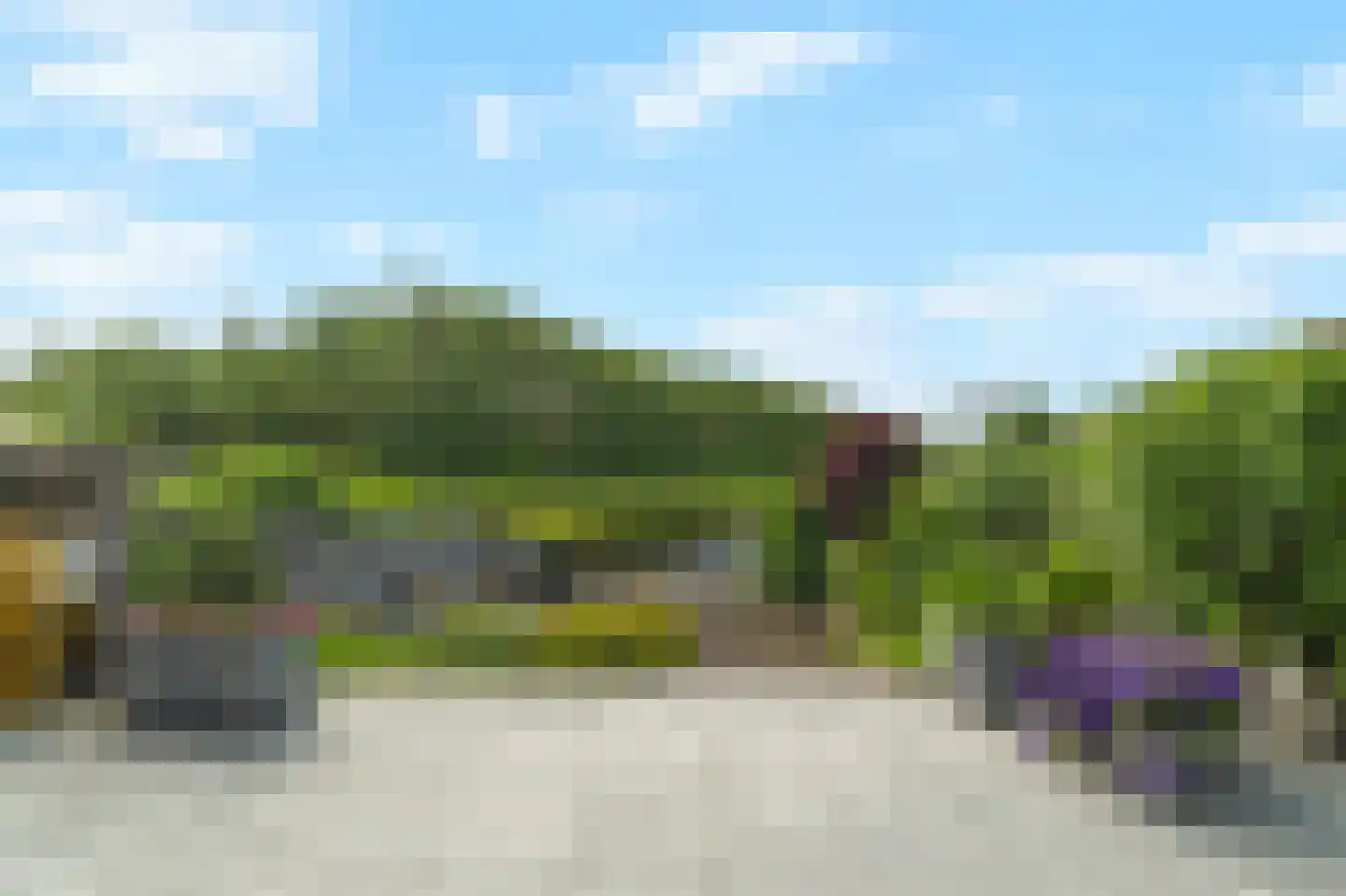 Wilbertsdel 12 Petten thumbnail 56