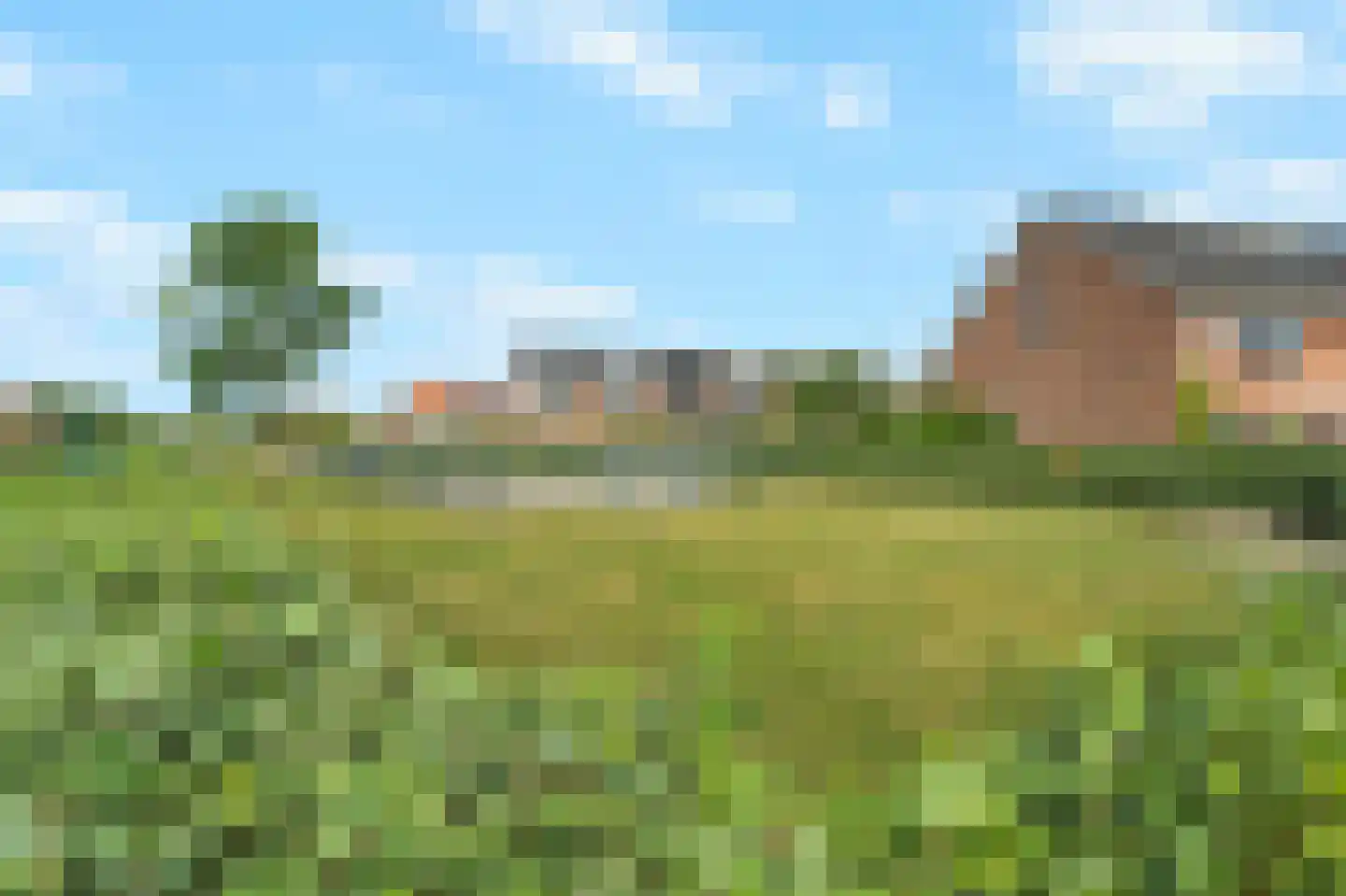Wilbertsdel 12 Petten thumbnail 58