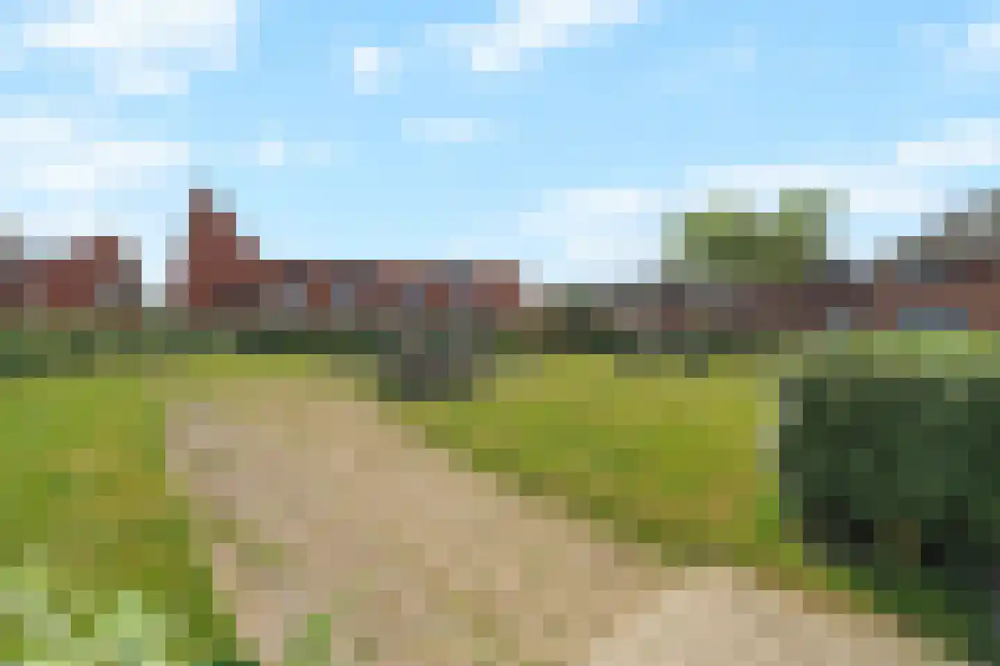 Wilbertsdel 12 Petten thumbnail 59