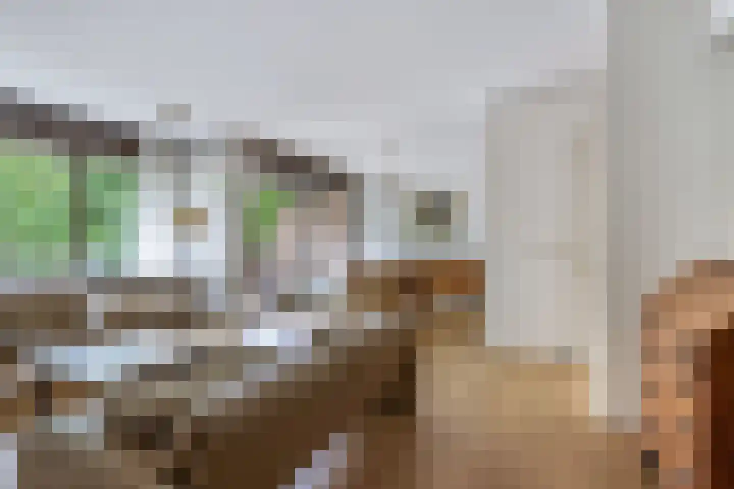 Wilbertsheem 15 Waalre thumbnail 11