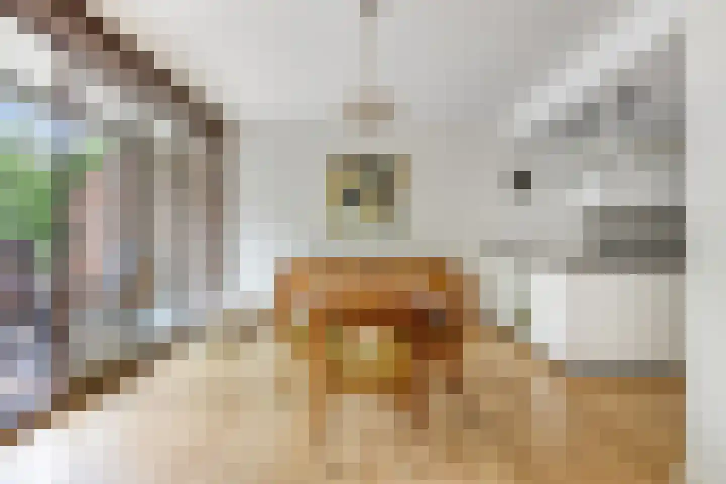 Wilbertsheem 15 Waalre thumbnail 14