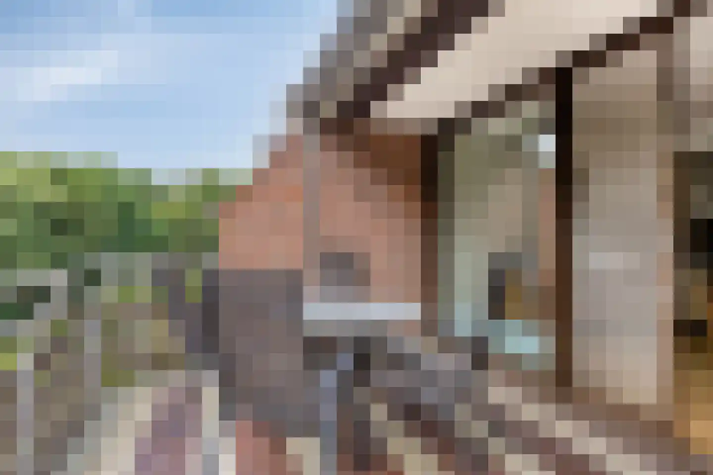 Wilbertsheem 15 Waalre thumbnail 18