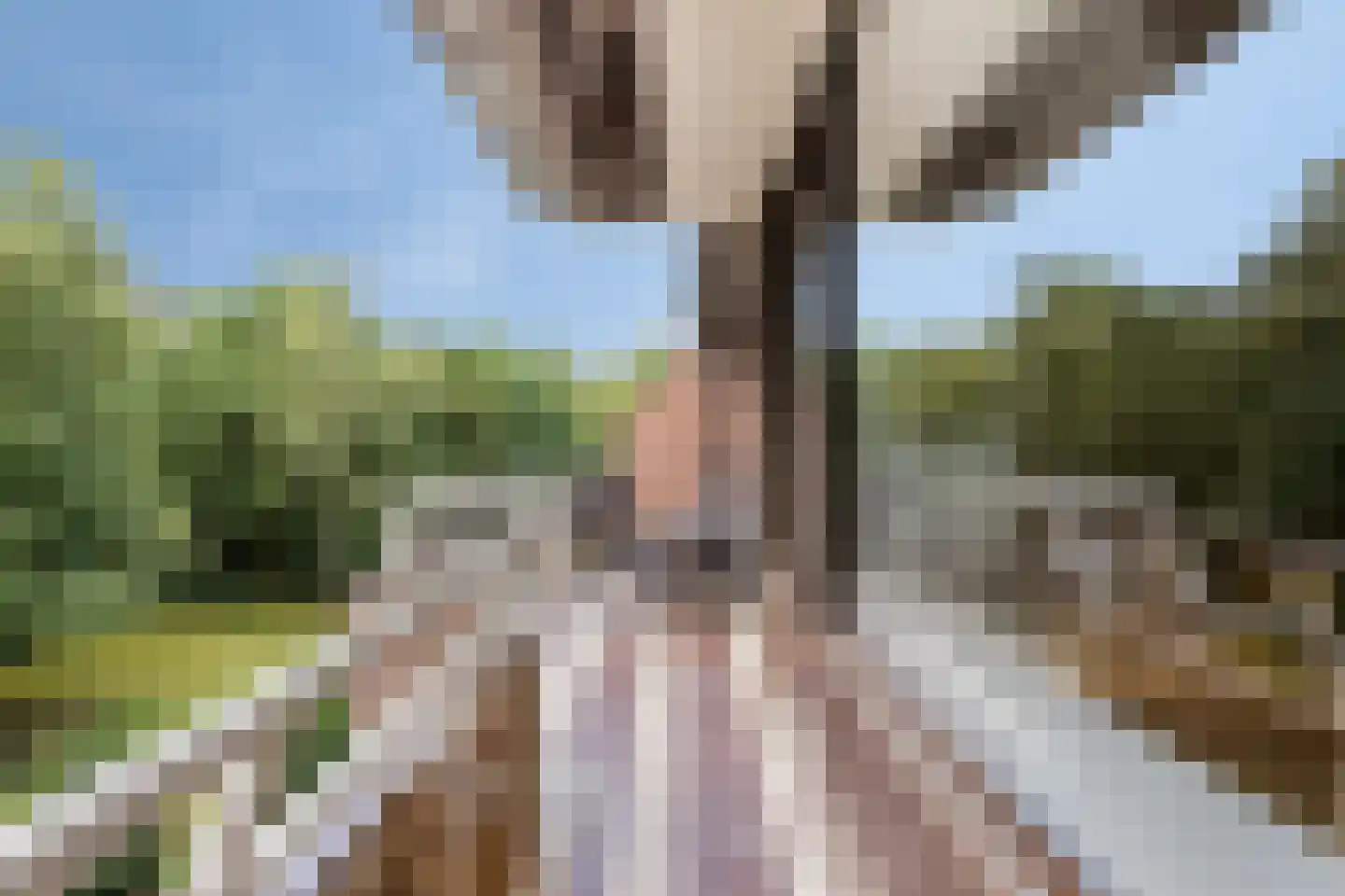 Wilbertsheem 15 Waalre thumbnail 20