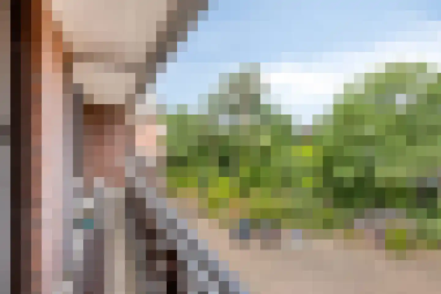 Wilbertsheem 15 Waalre thumbnail 30