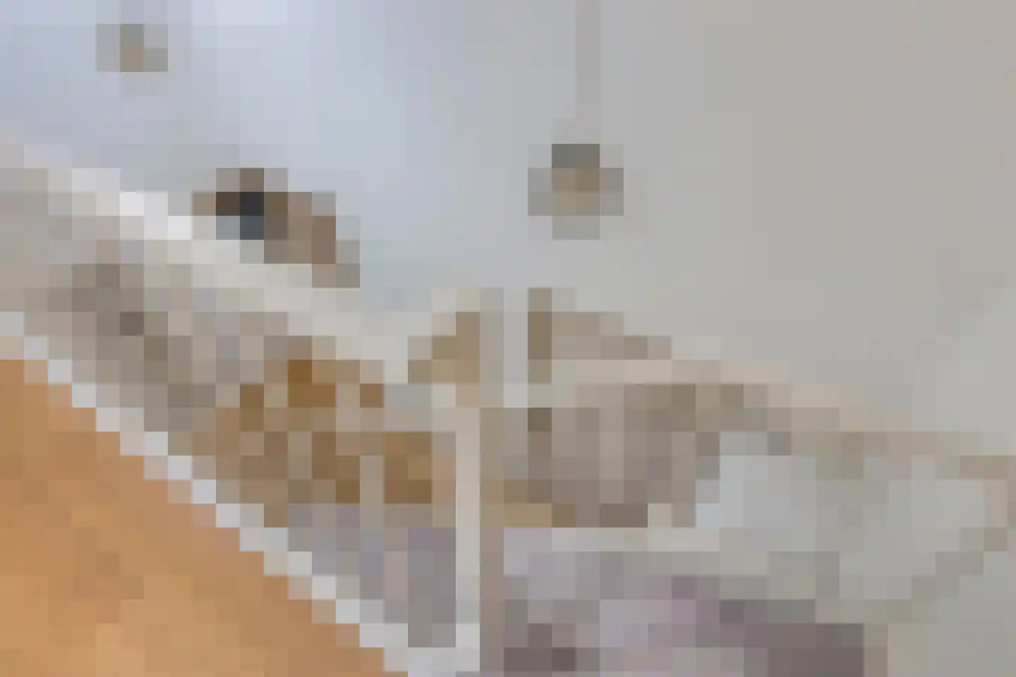 Wilbertsheem 15 Waalre thumbnail 31