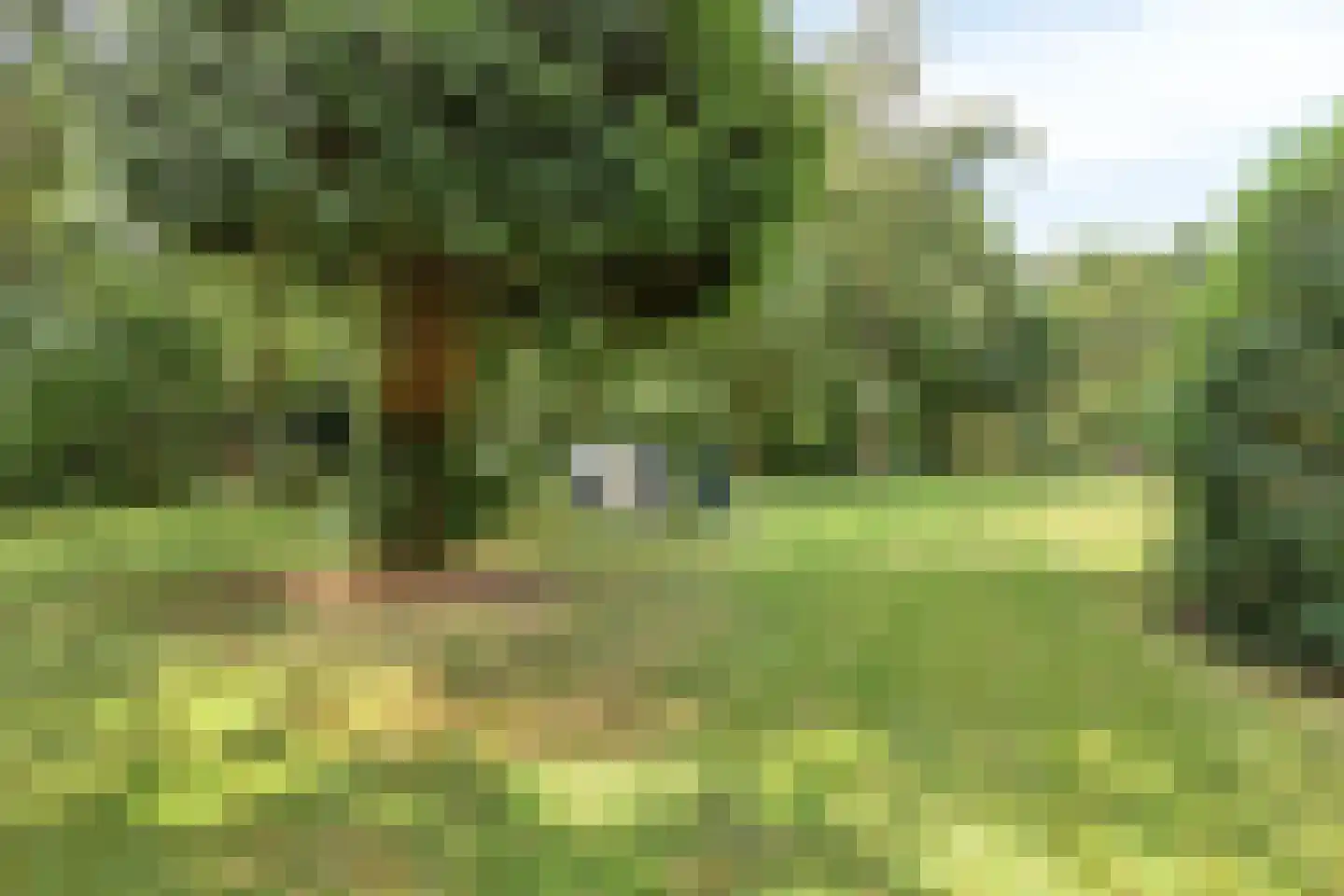 Wilbertsheem 15 Waalre thumbnail 35