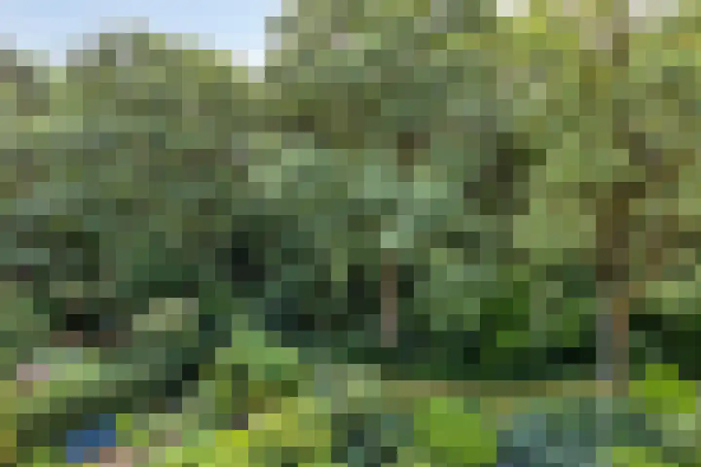 Wilbertsheem 15 Waalre thumbnail 38
