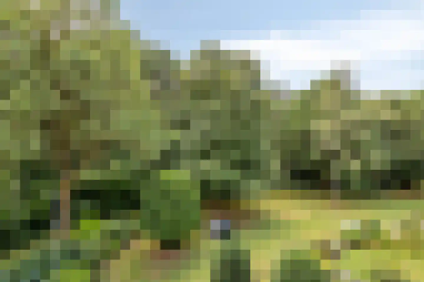Wilbertsheem 15 Waalre thumbnail 39