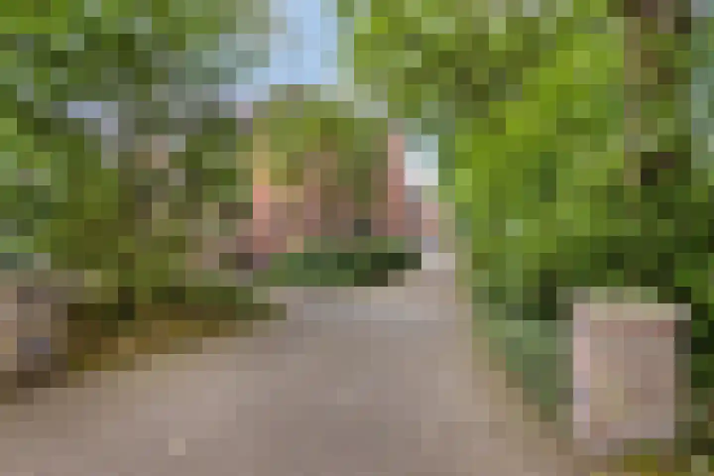 Wilbertsheem 15 Waalre thumbnail 4
