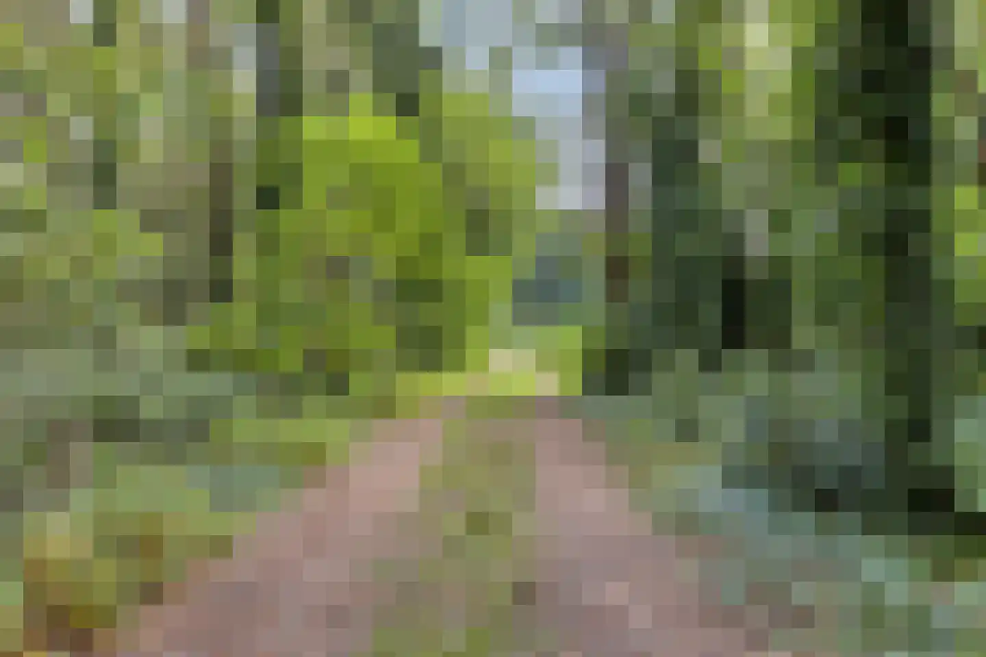 Wilbertsheem 15 Waalre thumbnail 40