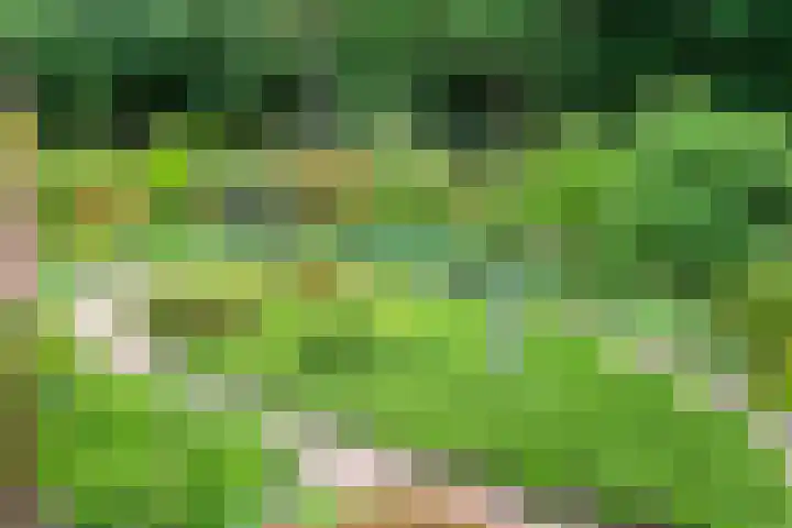 Wilbertsheem 2 Waalre thumbnail 21