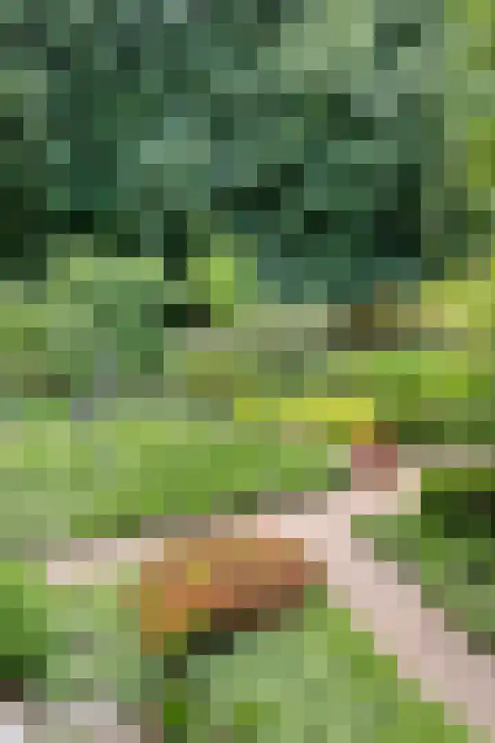 Wilbertsheem 2 Waalre thumbnail 22