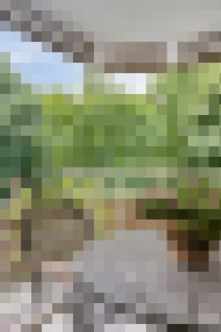 Wilbertsheem 2 Waalre thumbnail 23