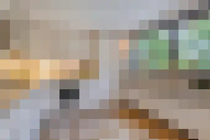 Wilbertsheem 2 Waalre thumbnail 25