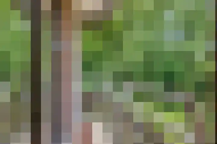 Wilbertsheem 2 Waalre thumbnail 28