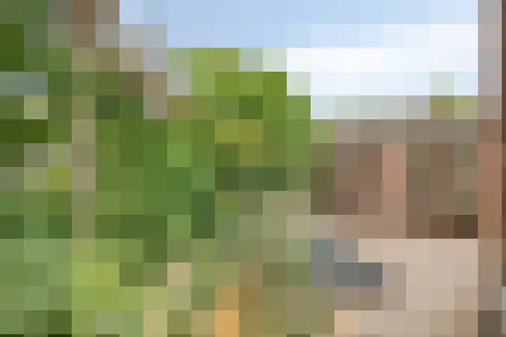 Wilbertsheem 2 Waalre thumbnail 29