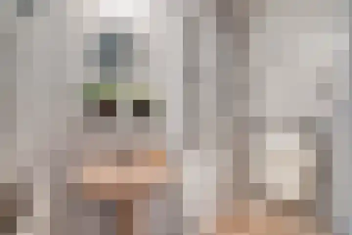 Wilbertsheem 2 Waalre thumbnail 36