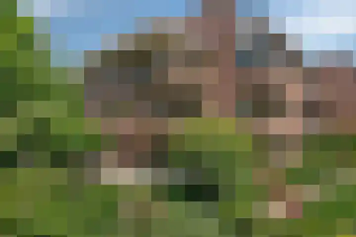 Wilbertsheem 2 Waalre thumbnail 4