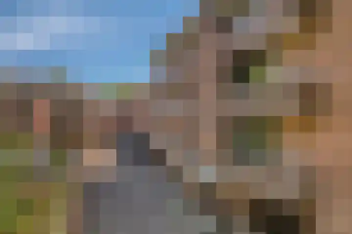 Wilbertsheem 2 Waalre thumbnail 5