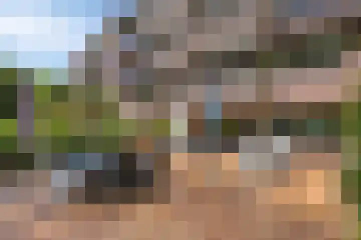 Wilbertsheem 2 Waalre thumbnail 53