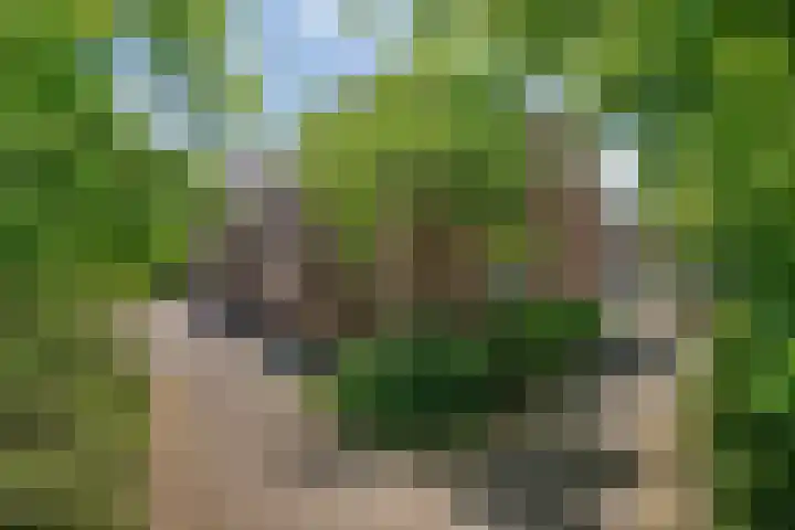 Wilbertsheem 2 Waalre thumbnail 54