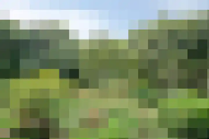 Wilbertsheem 2 Waalre thumbnail 55