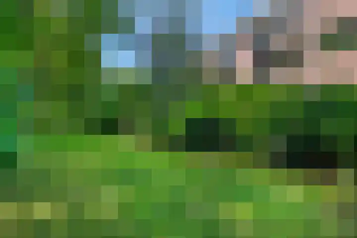 Wilbertsheem 2 Waalre thumbnail 56