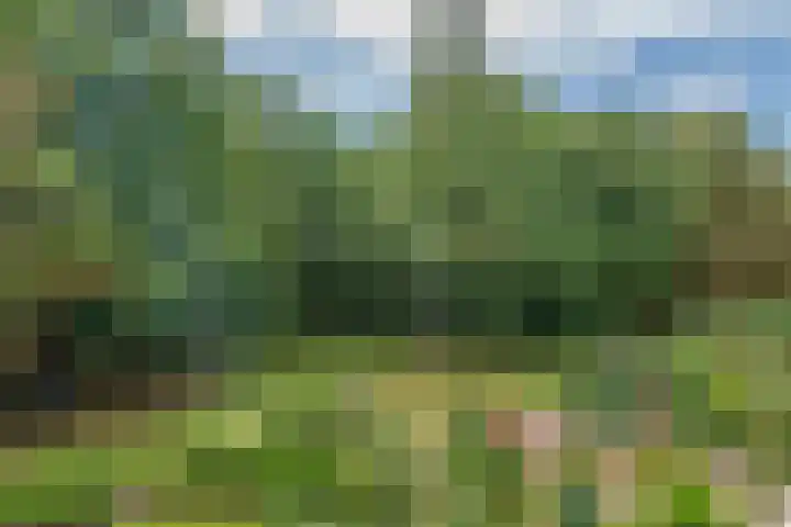 Wilbertsheem 8 Waalre thumbnail 13