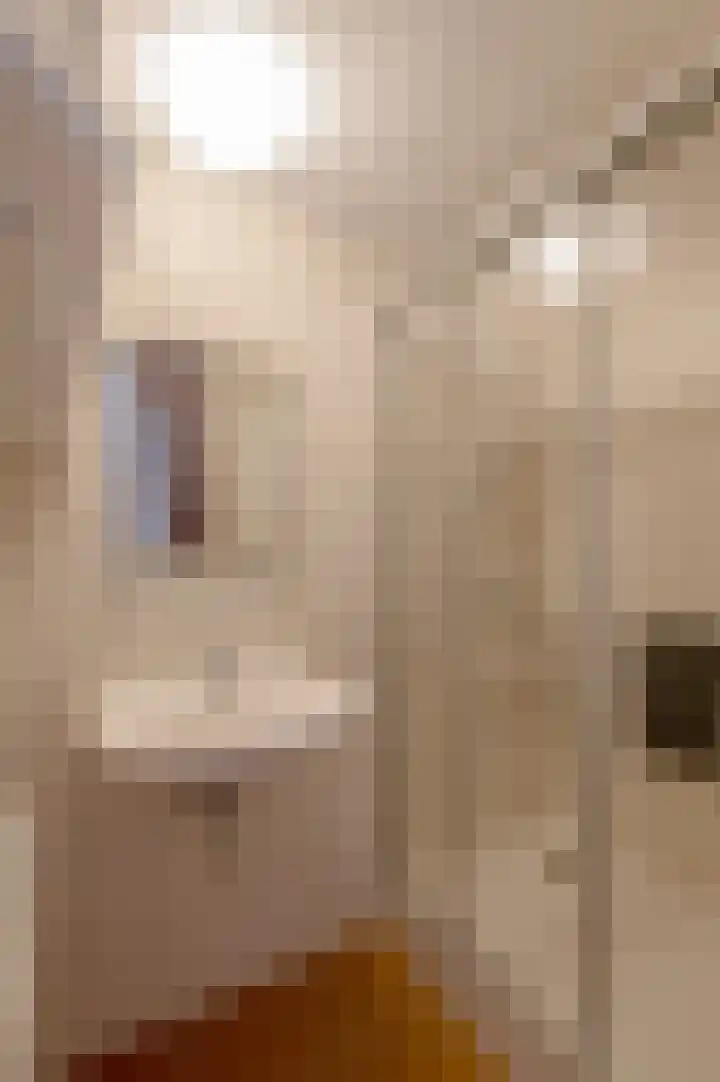 Wilbertsheem 8 Waalre thumbnail 20